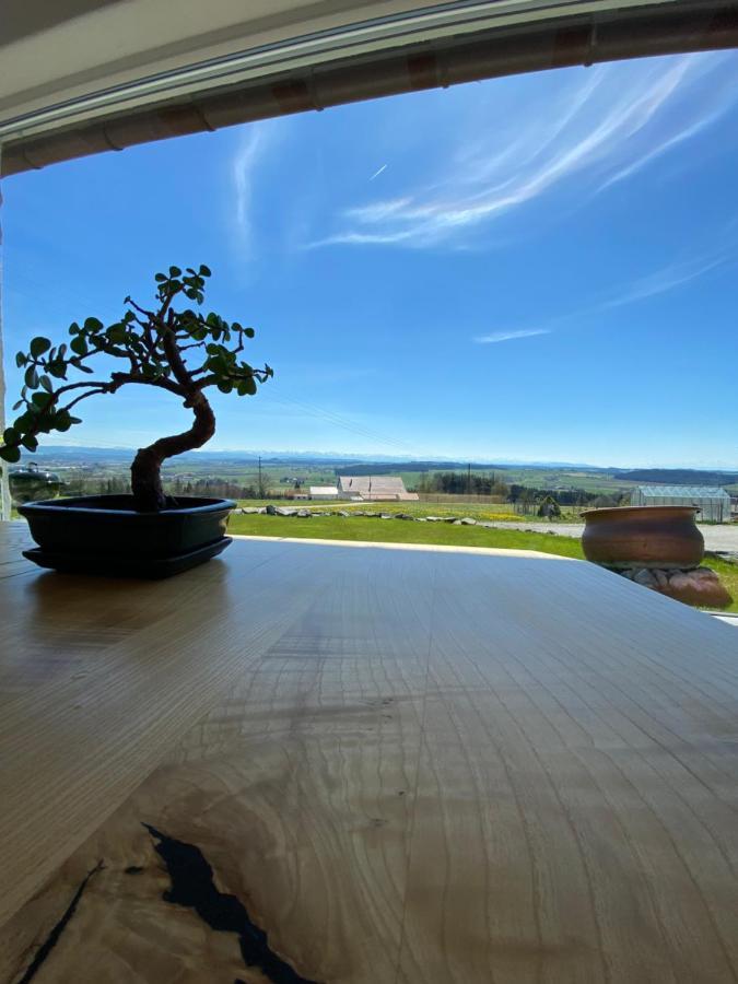 Villa Ferienhaus Alpenblick auf’m Vorderberg Leutkirch im Allgäu Exterior foto